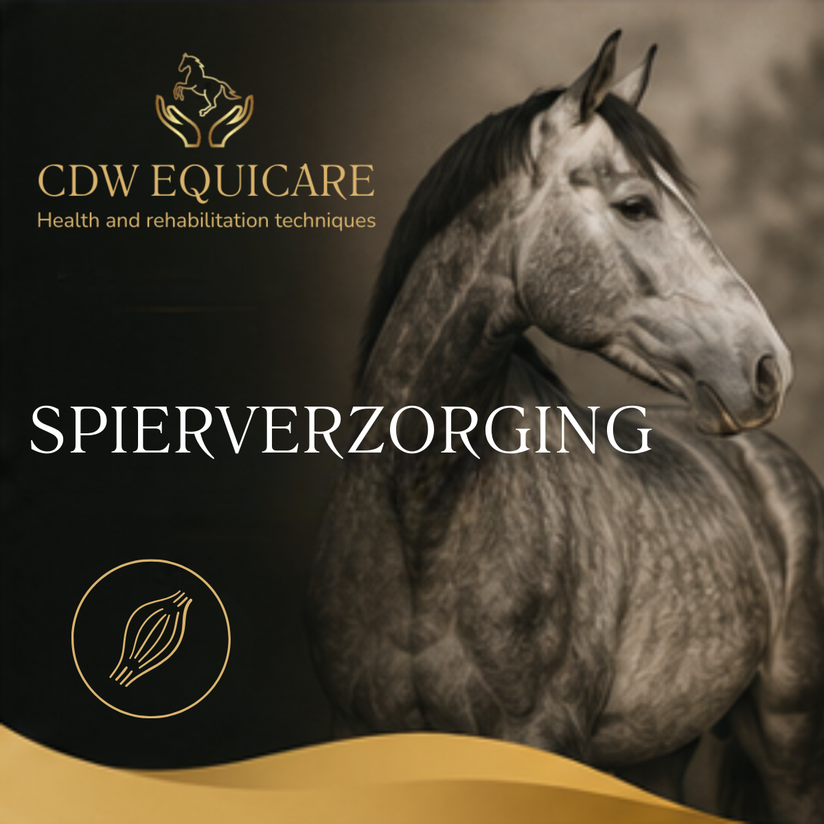 Spierverzorging