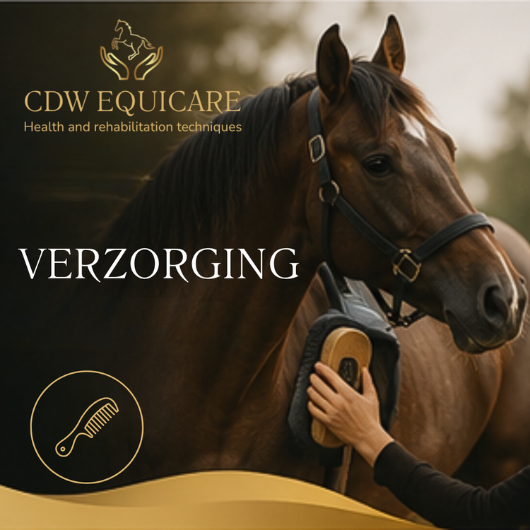 Verzorging
