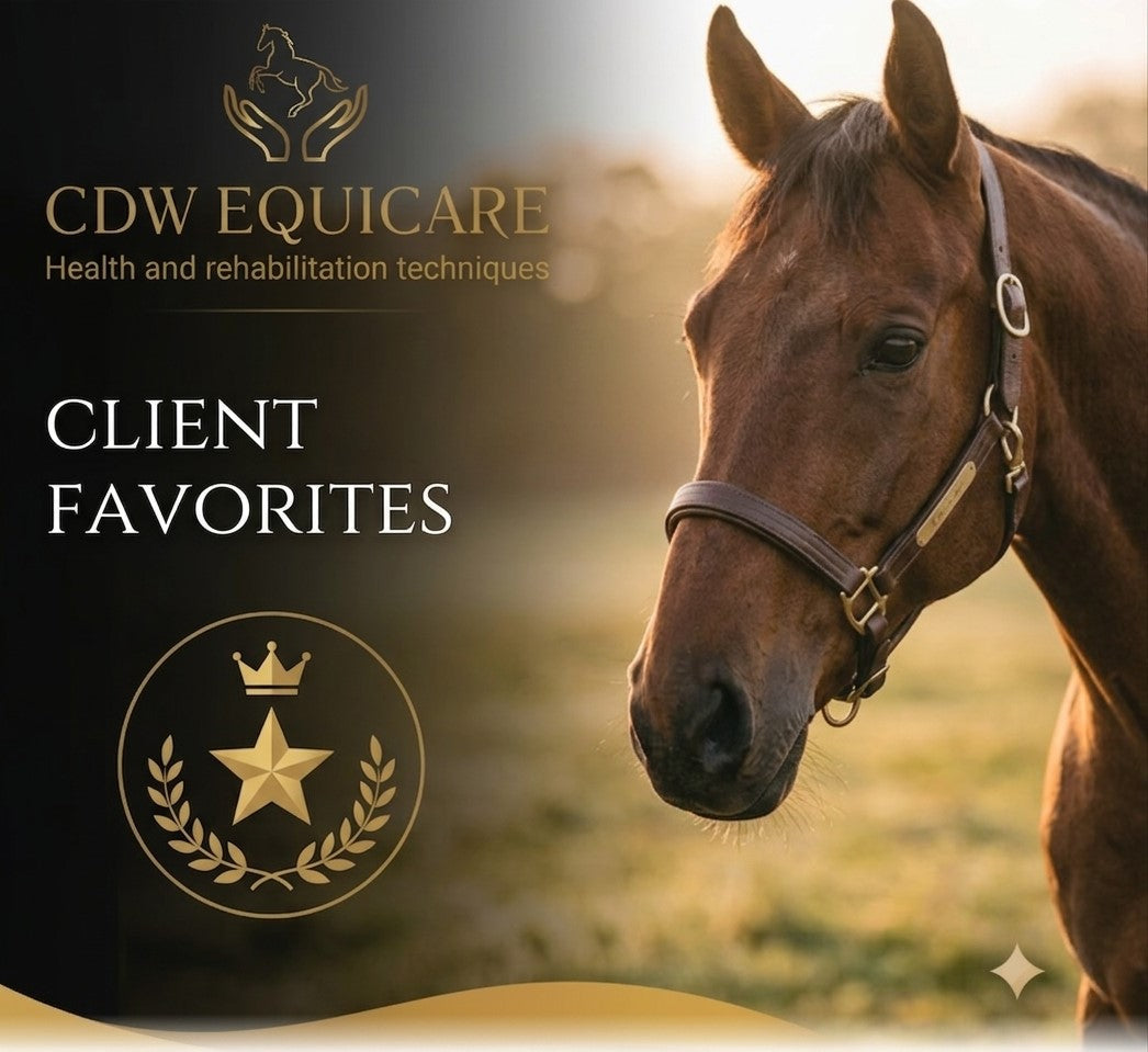 Client Favorites