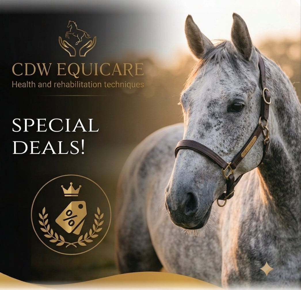 SPECIAL DEALS!