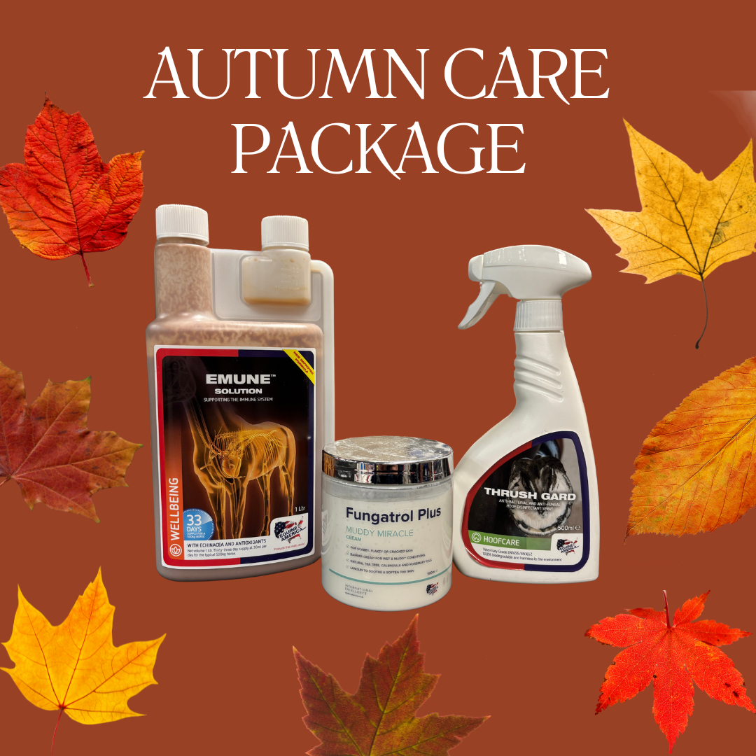 Verzorging paard in de herfst en winter