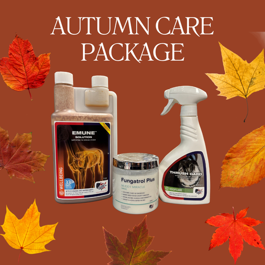 Verzorging paard in de herfst en winter