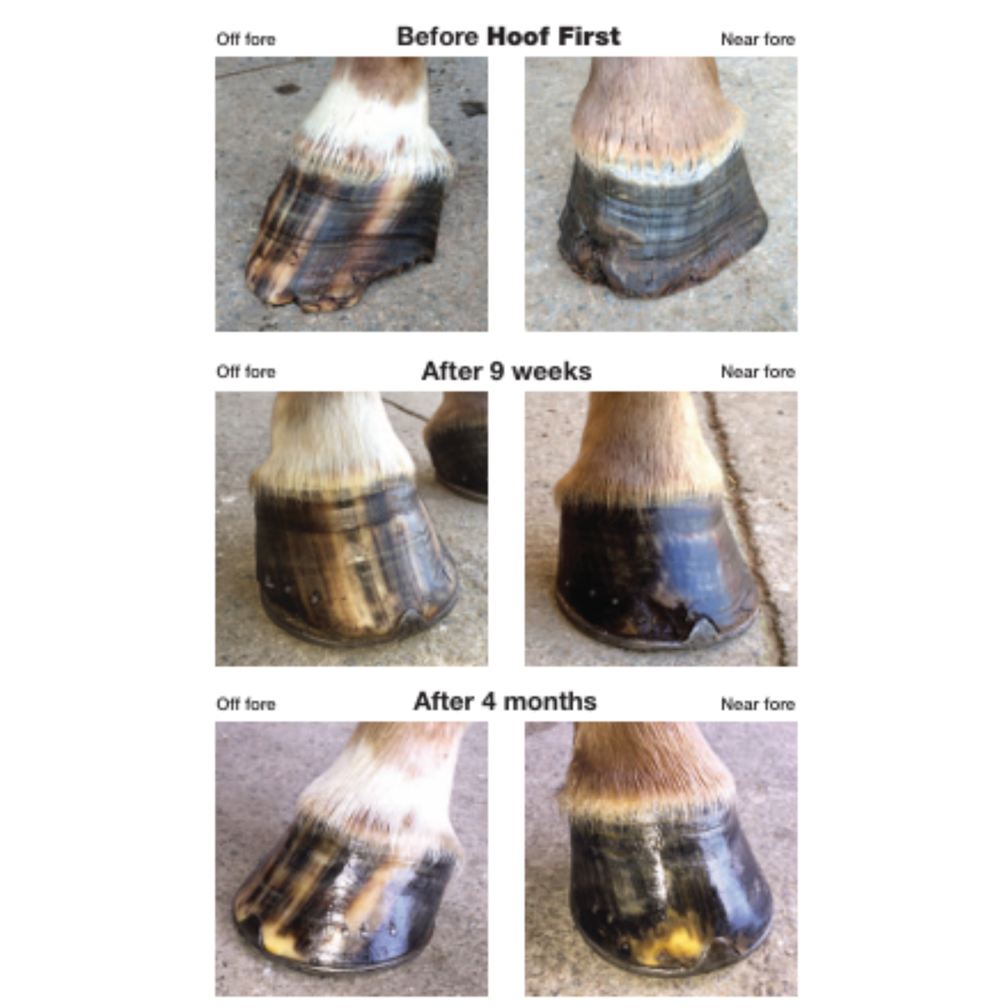 Hoof First