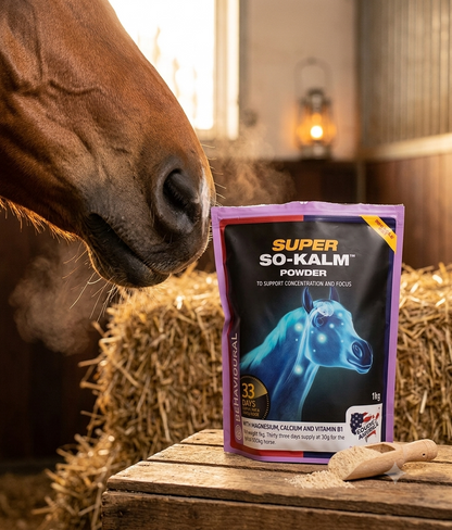 Equine America Super So-Calm Powder