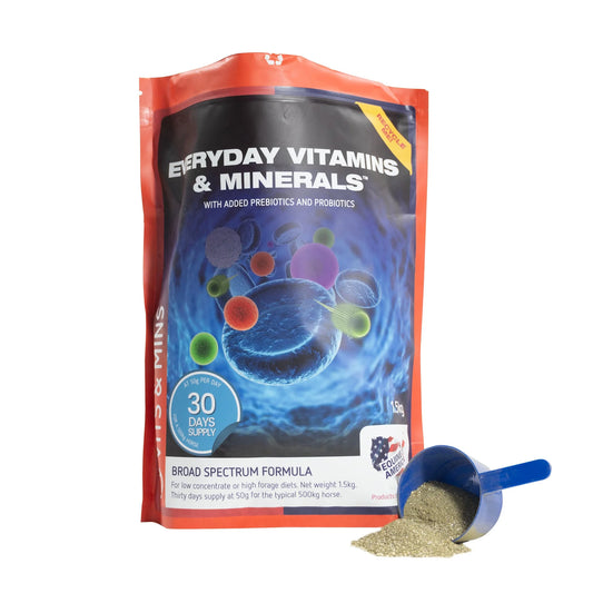 Equine America Everyday Vitamin & Mineral 