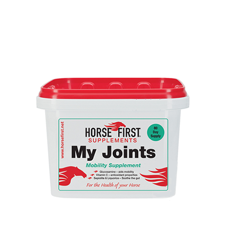My Joints
